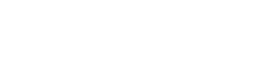 Sandwell Metropolitian Council